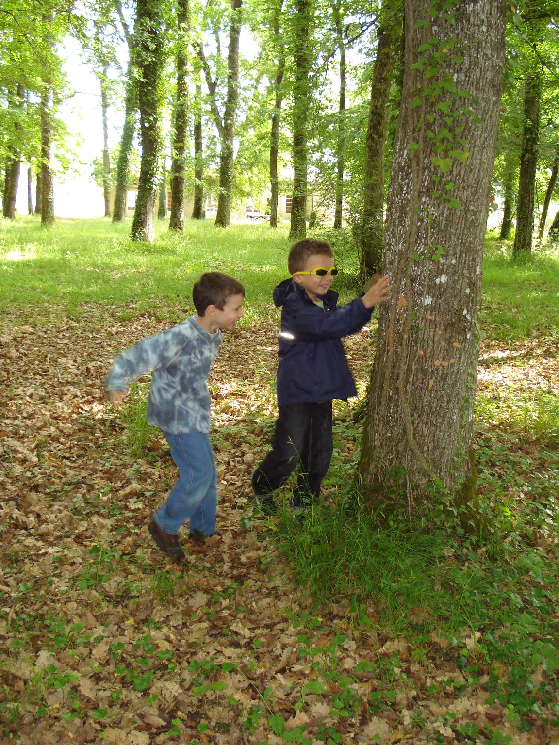 classe decouverte, beauvoir 097.jpg