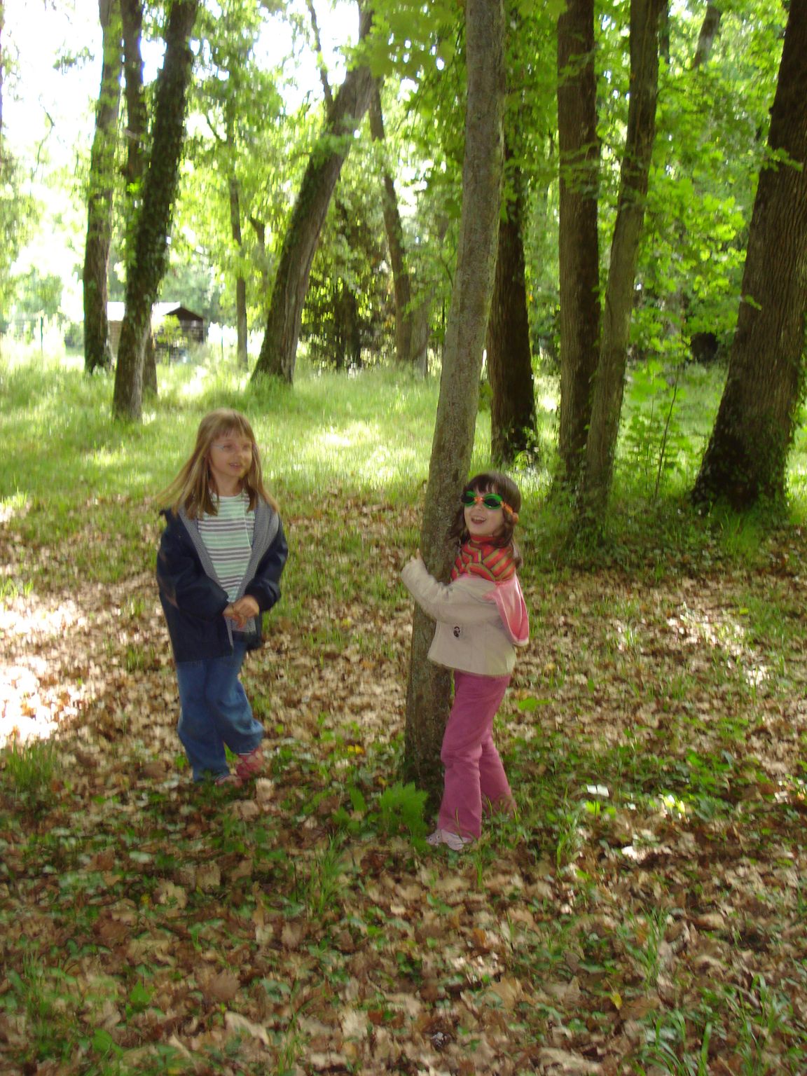 classe decouverte, beauvoir 098.jpg