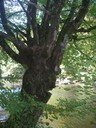 DSCN7589.JPG