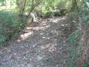 DSCN7630.JPG