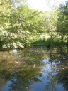 DSCN7650.JPG