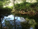 DSCN7651.JPG