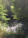 DSCN7652.JPG