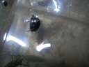 DSCN7653.JPG