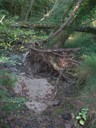 DSCN7707.JPG