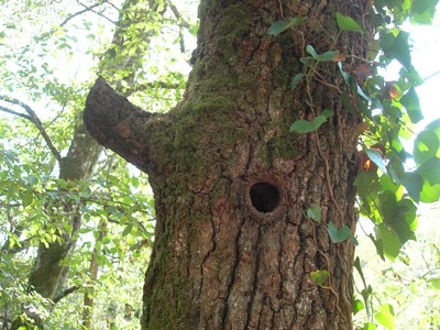 DSCN7732.JPG