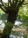 DSCN7735.JPG