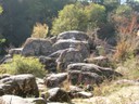 DSCN7736.JPG