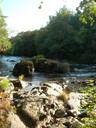 DSCN7749.JPG