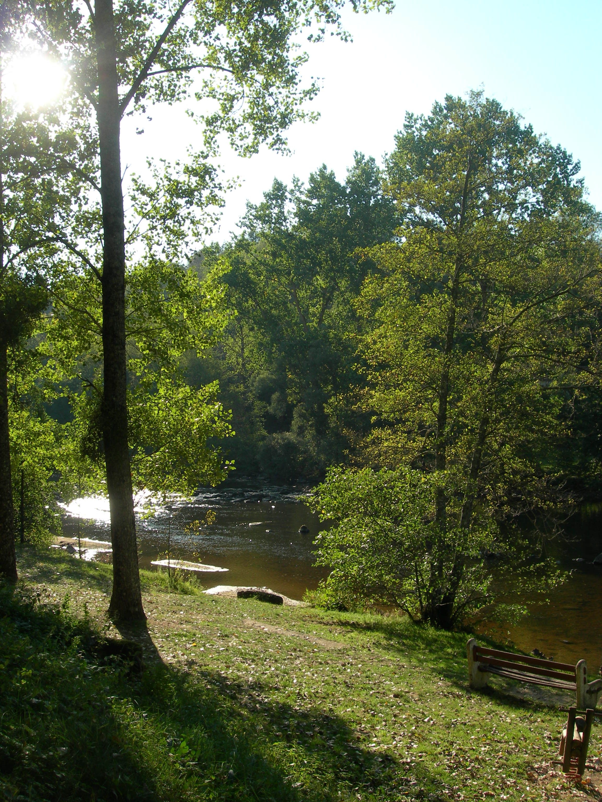 DSCN7754.JPG