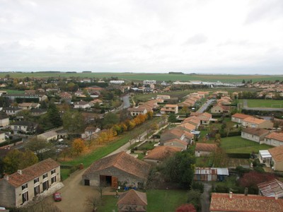 IMG_5619.JPG