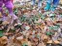Photo 038.jpg