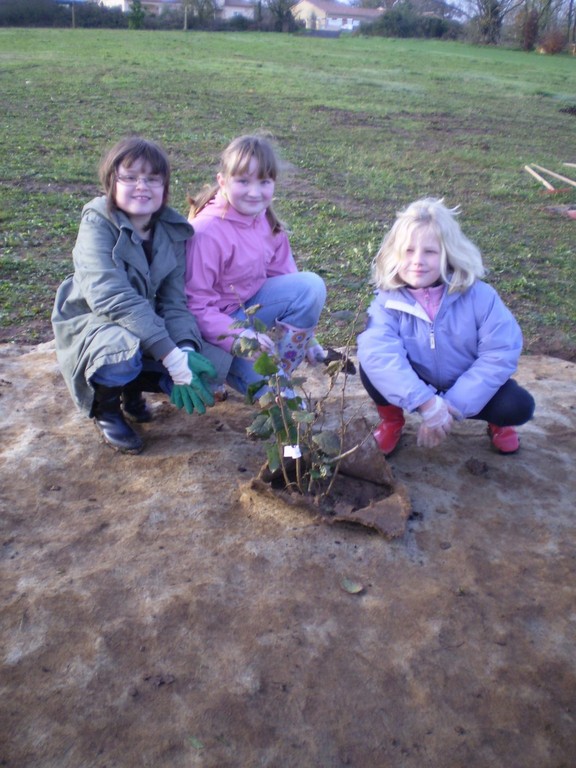 plantations La Gorande 032.jpg