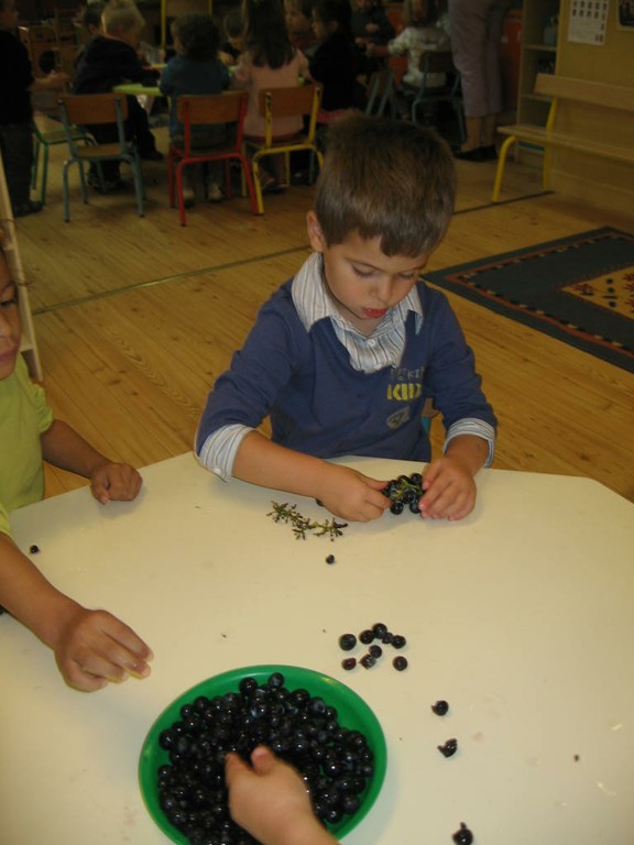 De la vigne au jus de raisin (34).JPG