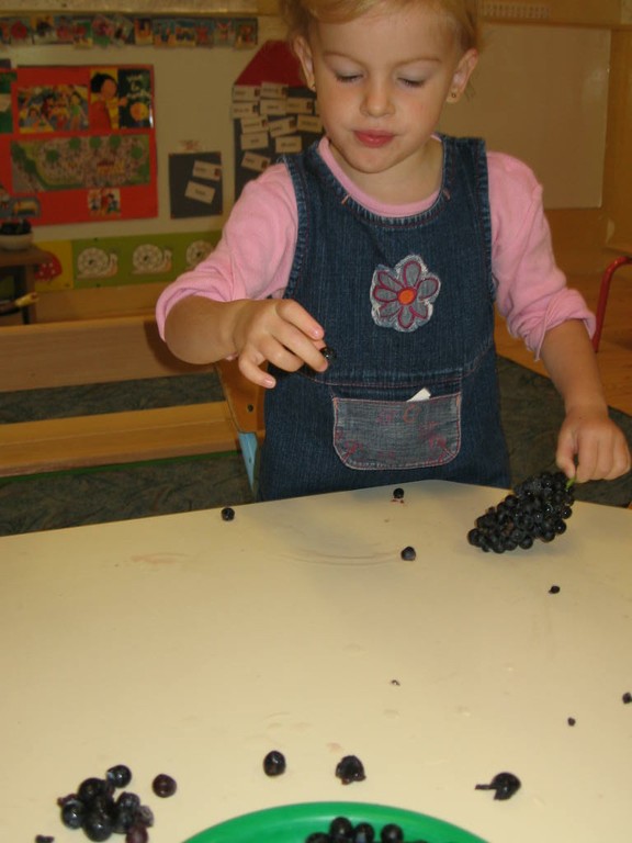 De la vigne au jus de raisin (35).JPG