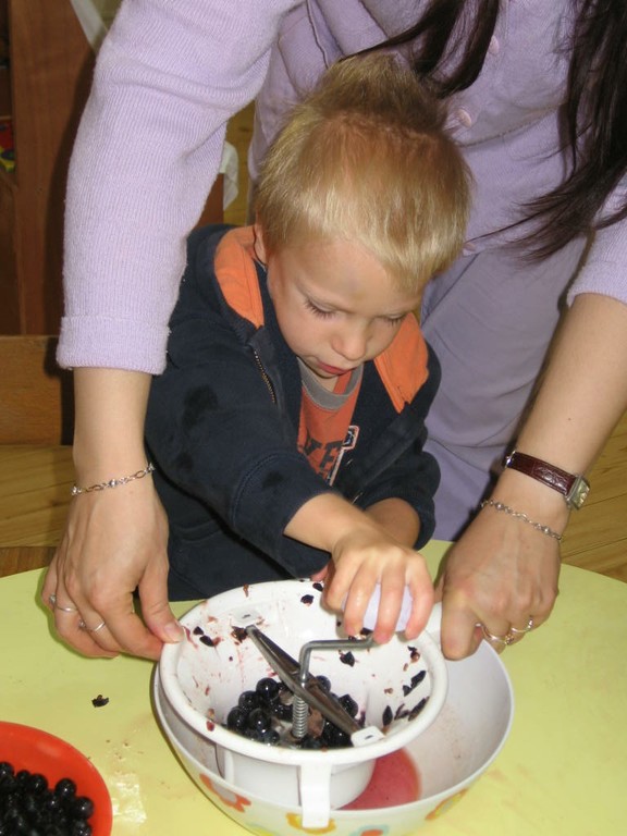 De la vigne au jus de raisin (37).JPG