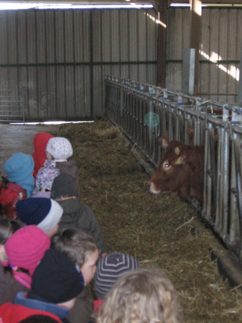 Sortie a la ferme (11).JPG