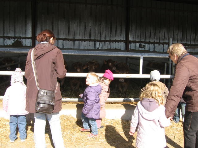 Sortie a la ferme (16).JPG