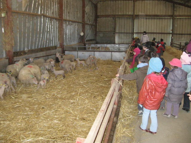 Sortie a la ferme (18).JPG