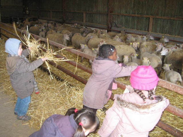 Sortie a la ferme (19).JPG