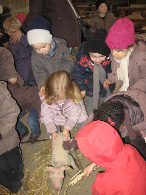 Sortie a la ferme (22).JPG