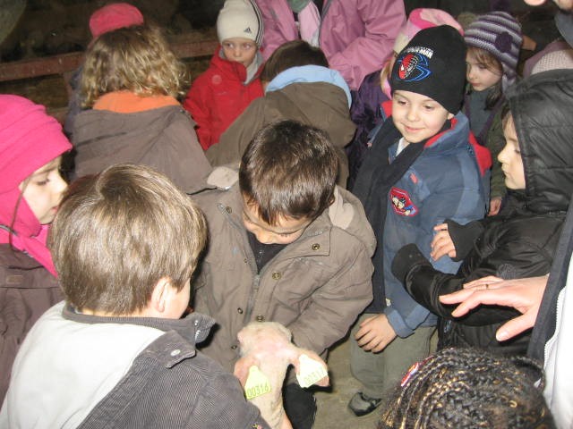 Sortie a la ferme (24).JPG