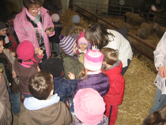 Sortie a la ferme (25).JPG