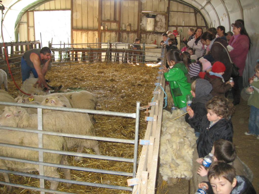 Sortie a la ferme (35).JPG