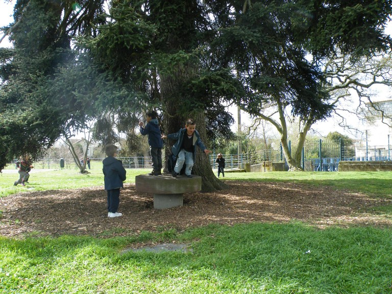 2009_02250052.JPG