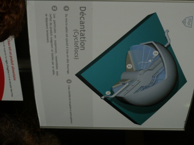 P1010016.JPG