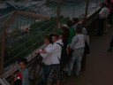 DSCN9806.JPG