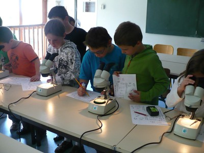 P1010852.JPG