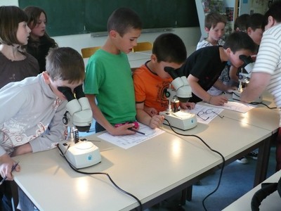 P1010853.JPG