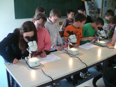 P1010855.JPG