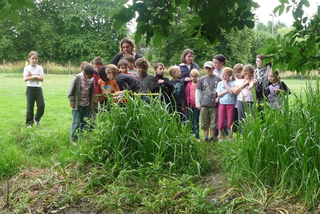 P1040053.JPG