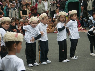 Moutons dans le pre (11).JPG