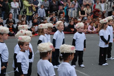 Moutons dans le pre (18).JPG