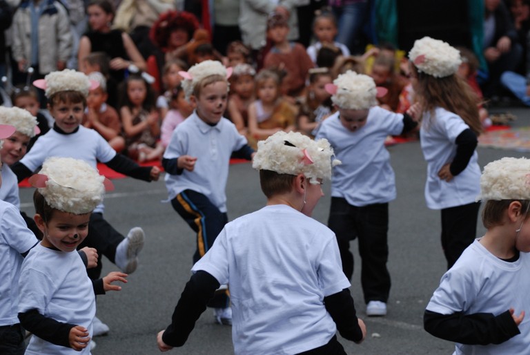 Moutons dans le pre (28).JPG