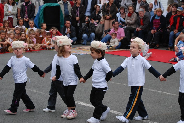 Moutons dans le pre (3).JPG