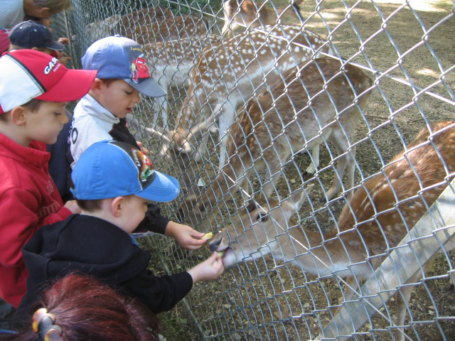 Bois de St Pierre (15).JPG