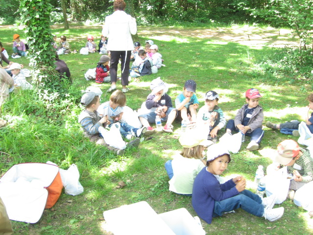 Bois de St Pierre (34).JPG