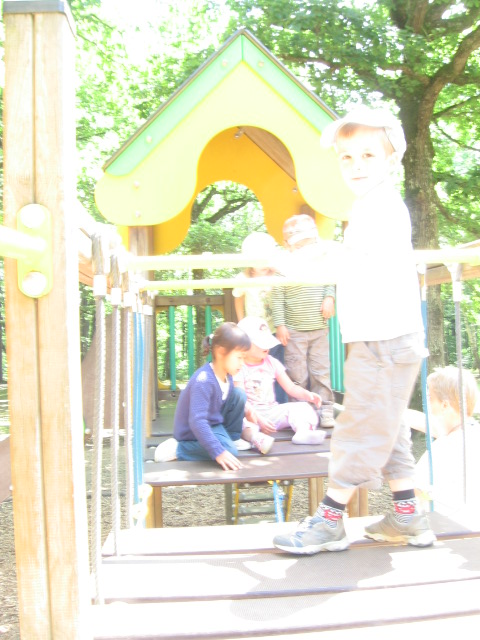 Bois de St Pierre (38).JPG