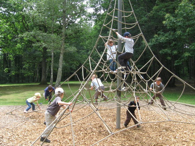 Bois de St Pierre (42).JPG