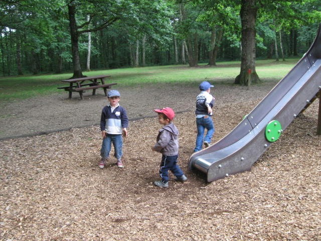 Bois de St Pierre (46).JPG