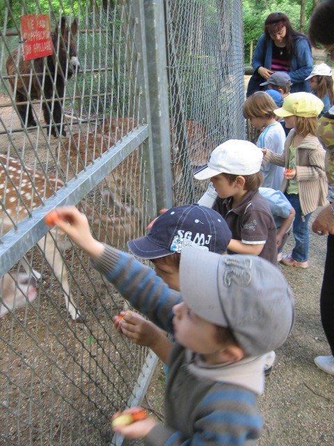 Bois de St Pierre (7).JPG