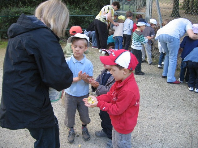 Bois de St Pierre (9).JPG