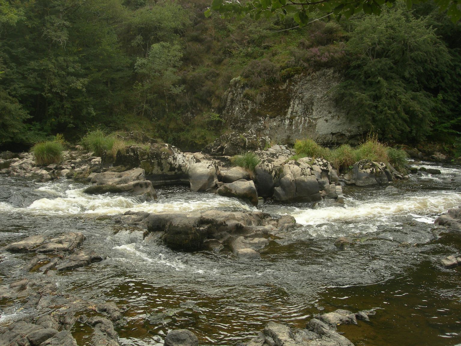DSCN8996.JPG