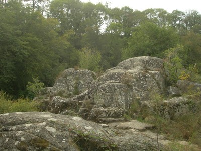 DSCN8999.JPG
