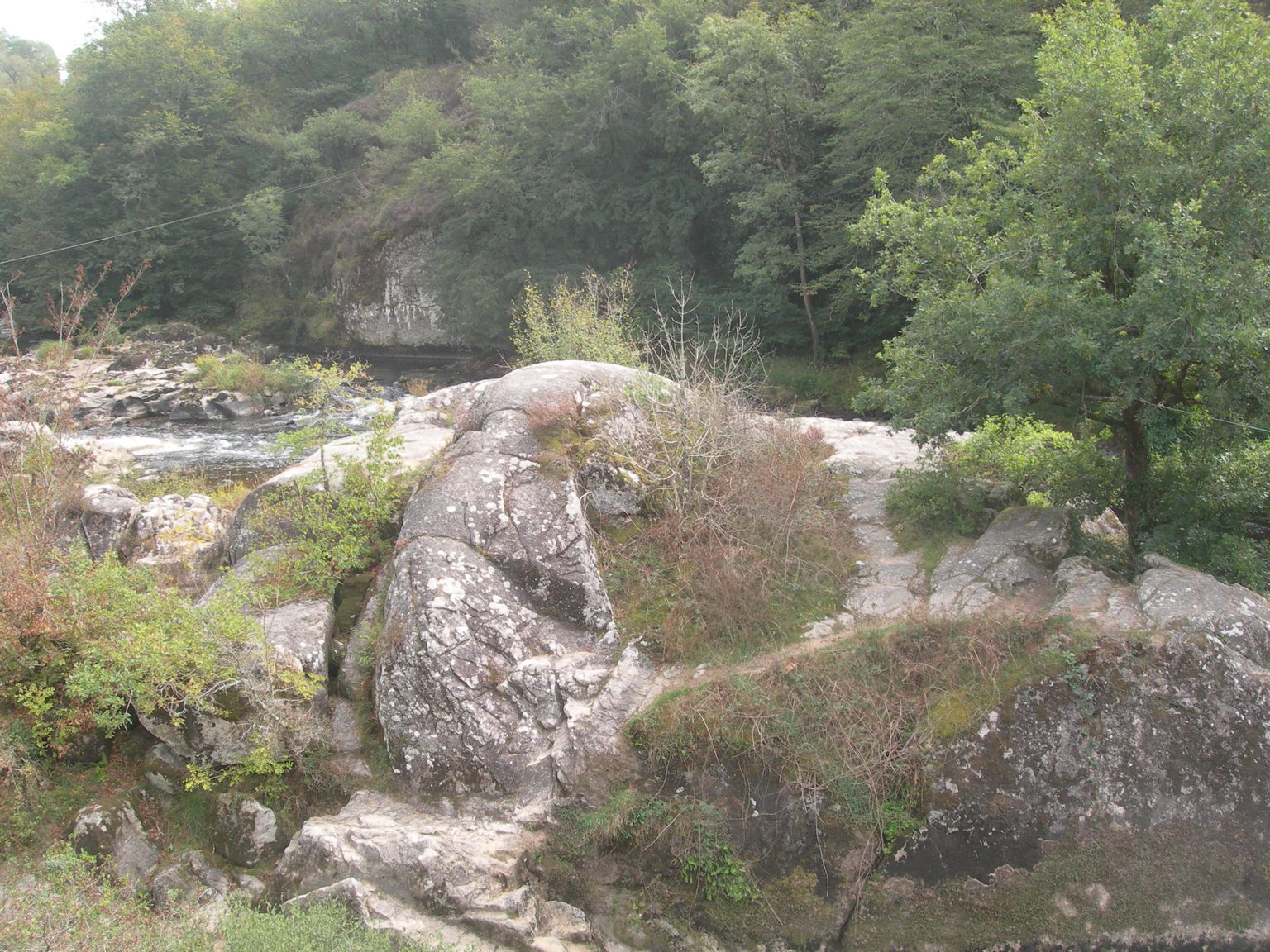 DSCN9005.JPG