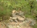 DSCN9035.JPG